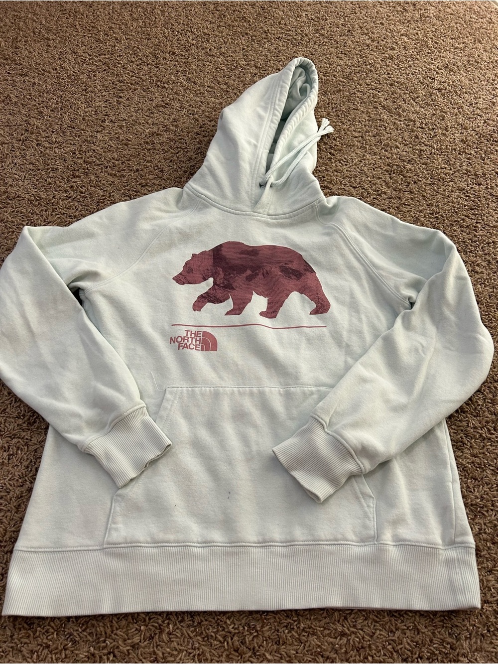 The North Face Mint Green Hoodie with Mauve Bear Graphic